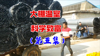 青島風全溫室配套有限公司